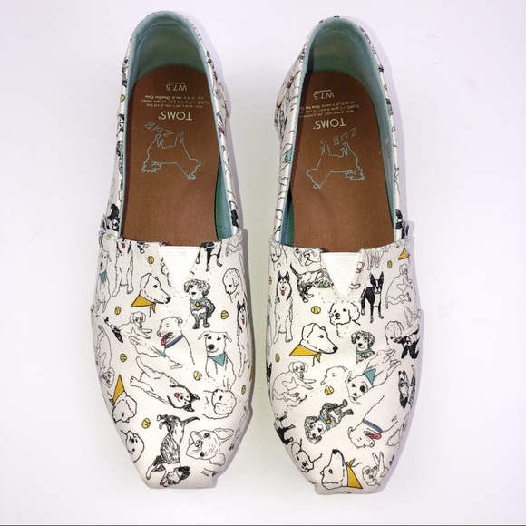 toms dog shoes